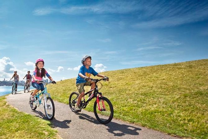 Rent City Bike 18 gears from 9 hours to 7 days: Visit Maspalomas - Birdwatching and Lagoon Views at La Charca de Maspalomas