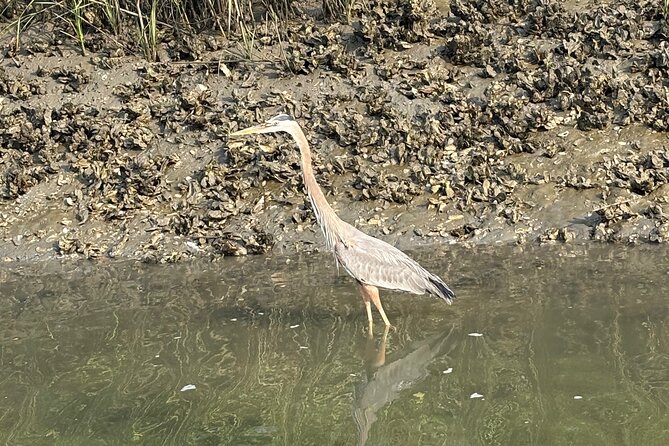 Rent Kayaks in Hilton Head Island - Hilton Head Island Kayak Rental: Overview and Booking Details
