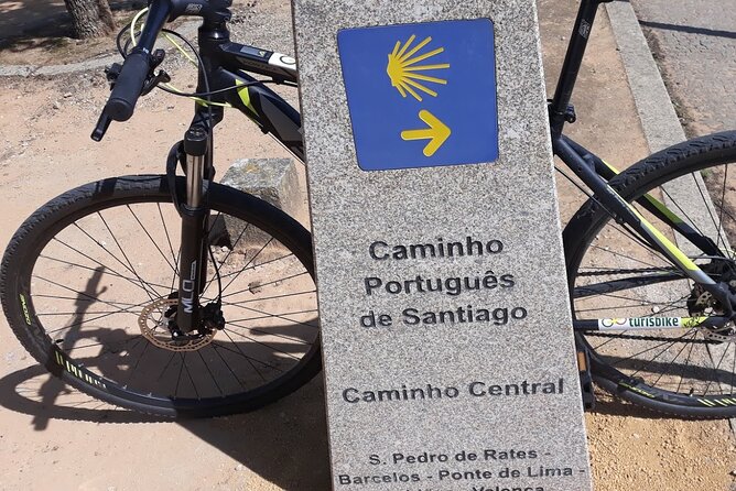 Rent mountain bike for bike path old railway to Famalicão - Key Points