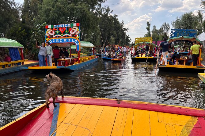 Rent our private boat (trajinera) per hours - Accessibility and group size considerations