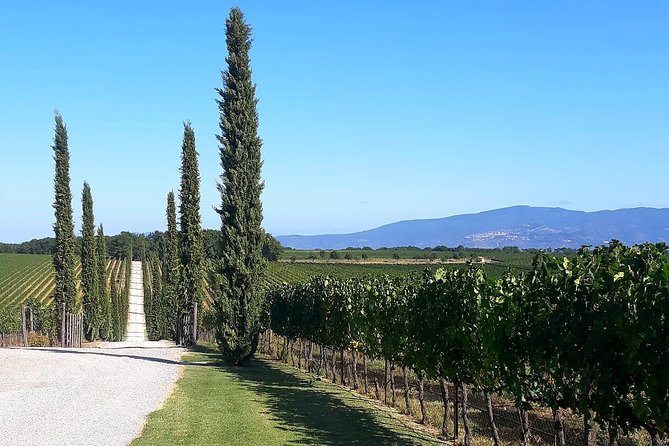 Rent with driver - Who Will Appreciate This Service Most