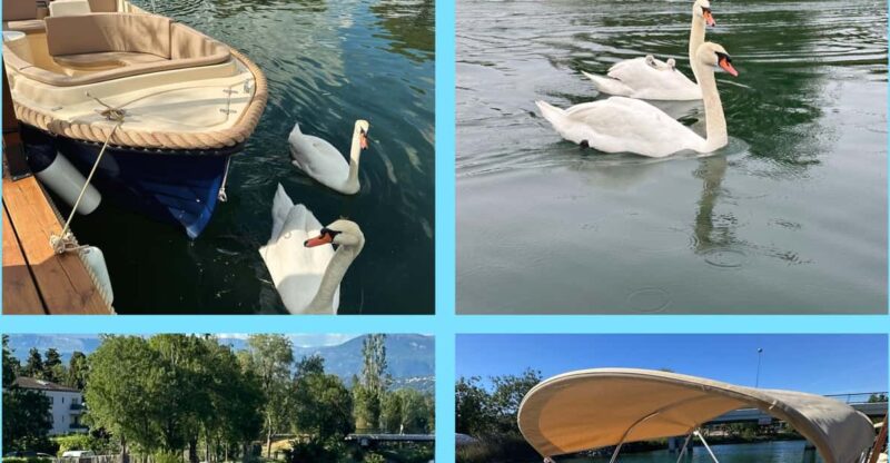 Rental of electric boats without a license - Comparing This Experience to Other Water Activities in the Area