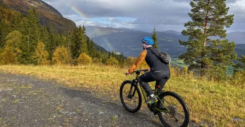 Rentals | E-Mountain Bike - Full Suspension - The Rugged Trails of Vestland County