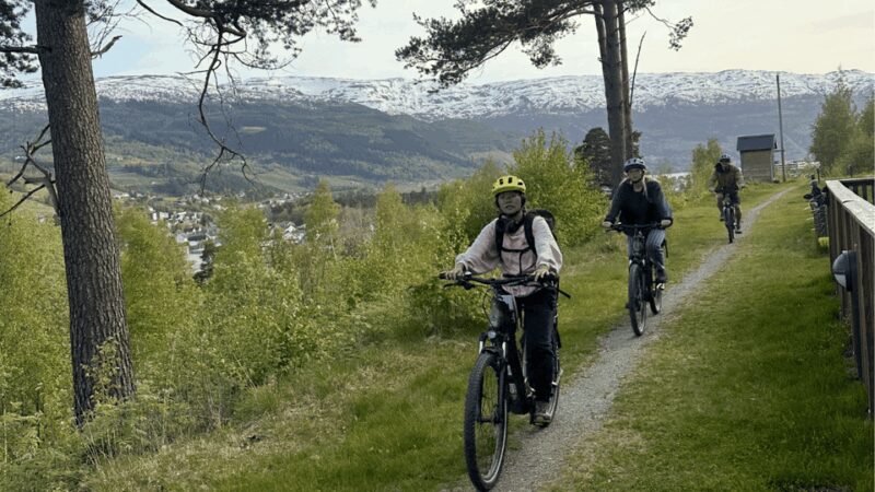 Rentals | E-Trekking Bike - Comparing the E-Trekking Bike Rental to Other Adventure Options in Voss