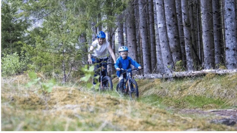 Rentals | Mountain Bike - Full Suspension - Trails and Terrain Styles on the Voss Trails