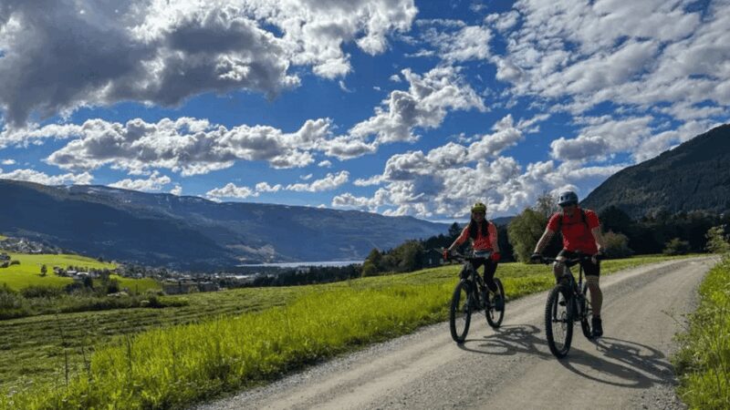 Rentals | Mountain Bike - Full Suspension - Why Choose This Bike Rental in Voss?