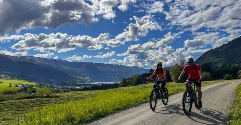 Rentals | Mountain Bike - Full Suspension - Vosss Mountain Biking Scene: What Sets It Apart