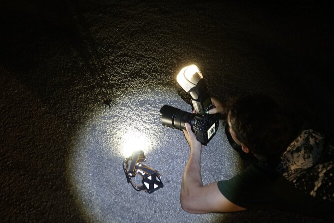 Reptile and Amphibian Night Adventure in Yucatán Jungle - Meeting Point and Tour Timing Details