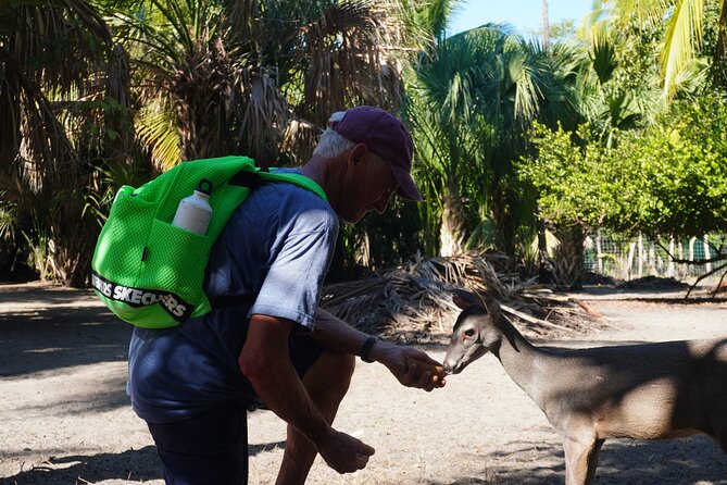 Reptile Eco Tour in Oaxacas Coastal Communities - Logística, accesibilidad y participantes ideales