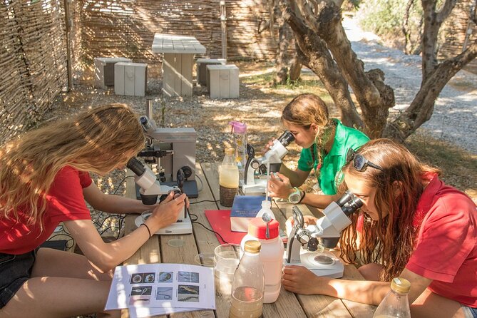 Research diving with a Marine Biologist in Crete - The Educational and Environmental Impact of the Tour
