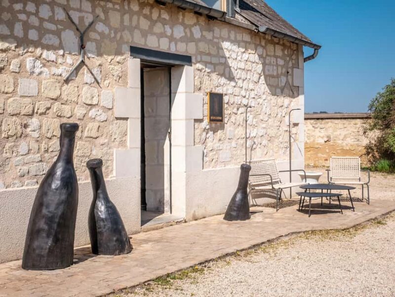 Restigné: Discover the winemaking cellar and taste local wines - Discover the Charm of Restigné’s Organic Winemaking with a 1-Hour Tour