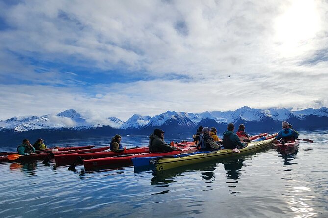 Resurrection Bay Waterfall And Rainforest Adventure - Including Everything You Need for a Comfortable Day