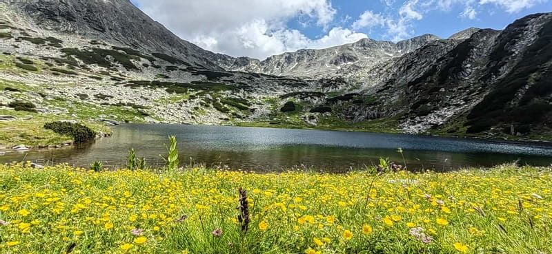 Retezat National Park: Full day hike from Cluj Napoca - Experience the Natural Beauty of Retezat National Park on a Full-Day Guided Hike