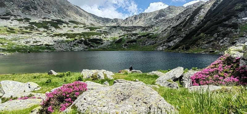 Retezat National Park: Full day hike from Cluj Napoca - Key Points