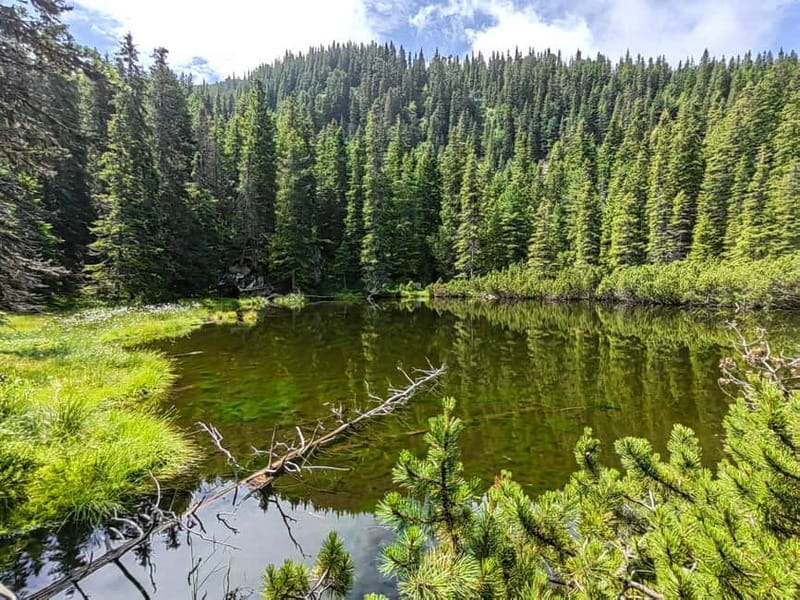 Retezat National Park: Full day hike from Cluj Napoca - Exploring Retezats Mountain Peaks and Lakes