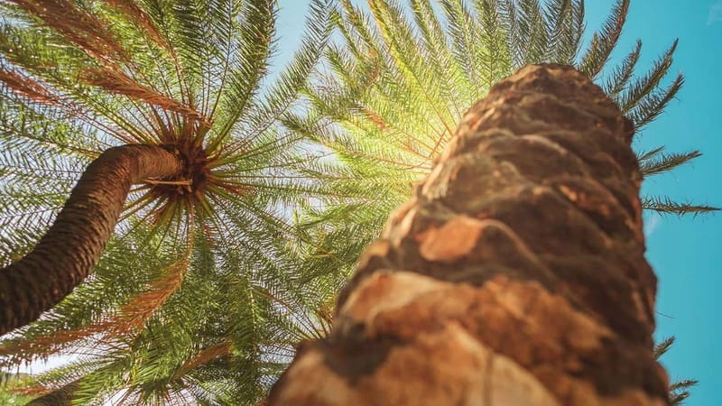 Rethymno Bali/Panormo:Preveli Palm Beach-Waterfall-Monastery - Key Points