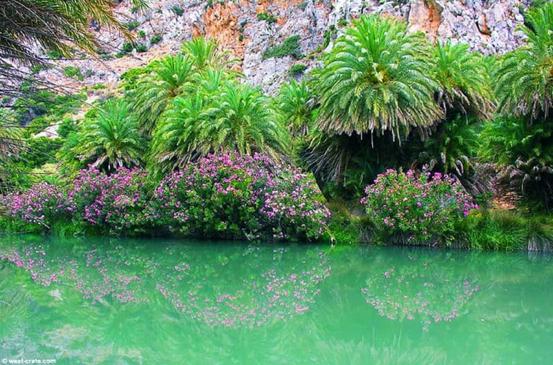 Rethymno/Chania: Preveli Beach and Kourtaliotiko Gorge Tour - Frequently Asked Questions