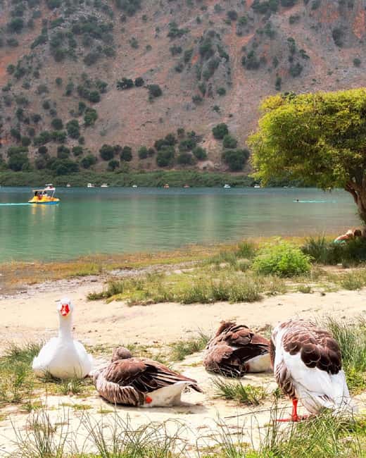 Rethymno City & Kournas Lake Tour from Chania - Logistics and Flexibility: Pickup, Cancellation, and Payment