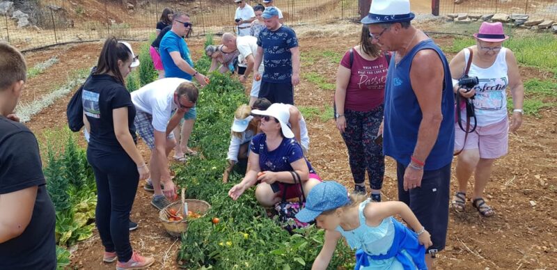Rethymno:Arkadi Monastery Margarites Village & Melidoni Cave - Frequently Asked Questions