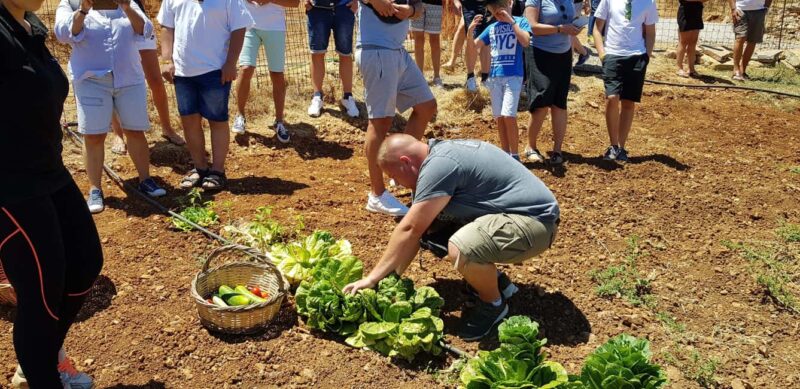 Rethymno:Mitato Shepherd Experience with Cretan Lunch & Raki - Key Points