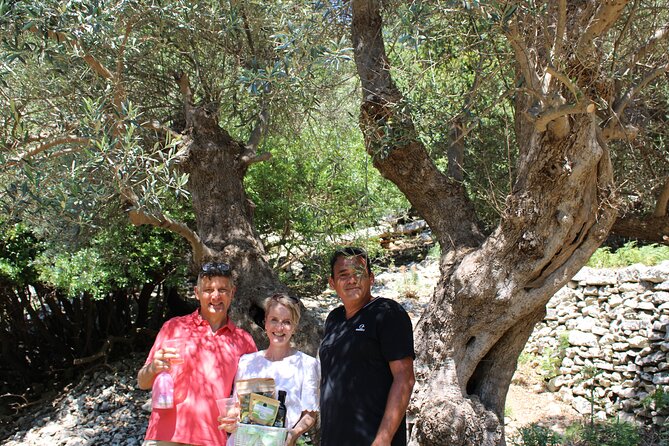 Rethymnon Olive Tree Sponsorship Protect and Plant Tour - The Role of the Guides and the Personalized Touches