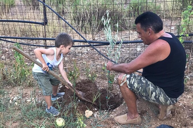 Rethymnon Olive Tree Sponsorship Protect and Plant Tour - Accessibility and Practical Tips for Participants