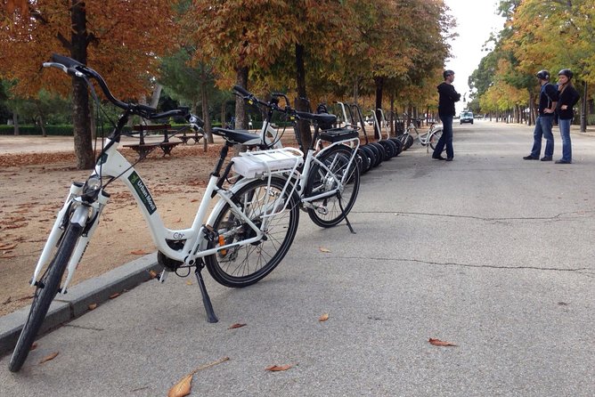 Retiro Park bike tour- Get transported to the XVI century - Navigating the Crowded Routes and Pedestrian Traffic