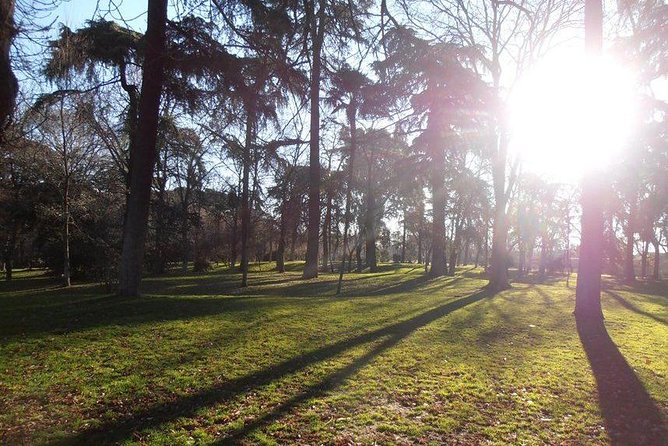Retiro Park & Prado Museum Private Tour - Exploring Madrid’s Green Heart: Retiro Park