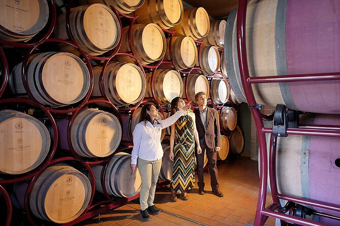 Retrospettiva di Marchesale Wine Tasting and Tour in Bolgheri - Who Should Consider This Tour
