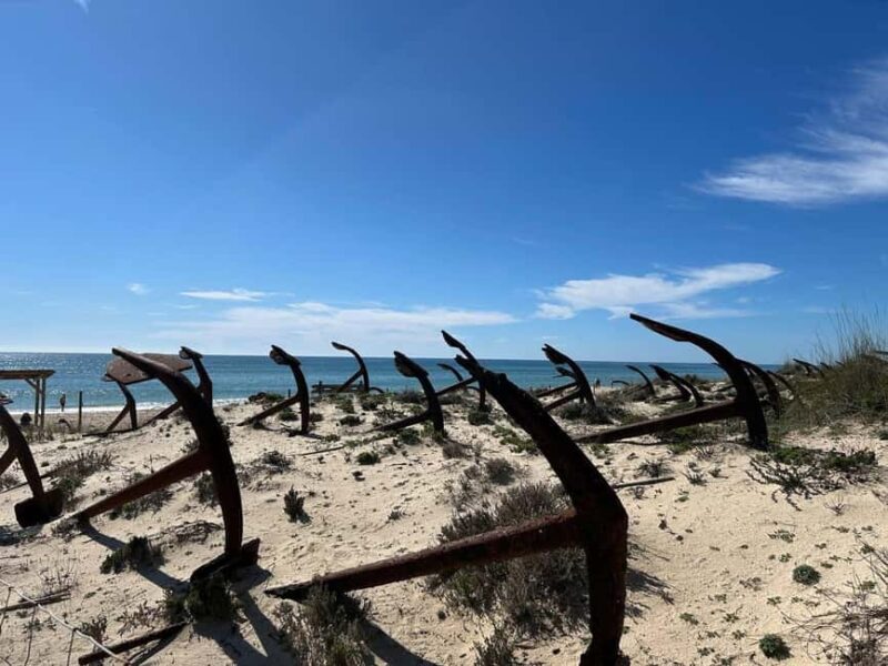 Return bike tour from Tavira to Olhão - Key Points