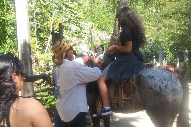 Rey Spearo - Enchanting And Romantic Custom Created Tours - Exploring Waterfalls, Vegetation, and Photo Opportunities