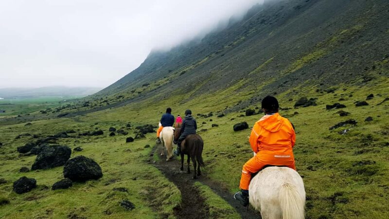 Reykjadalur: Horseback Riding Tour for Families & Beginners - Safety and Practical Tips for a Smooth Ride