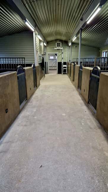 Reykjadalur: Horseback Riding Tour for Families & Beginners - The Experience in Context: Our Take on the Tour