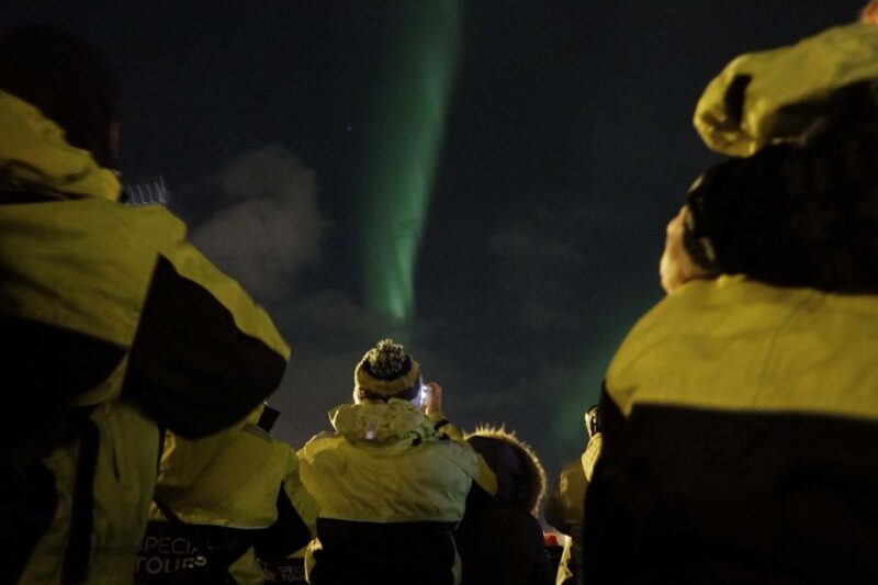 Reykjavik: 2-Hour Northern Lights by Boat with Backup Plan - The Indoor Experience at the Whales of Iceland Museum