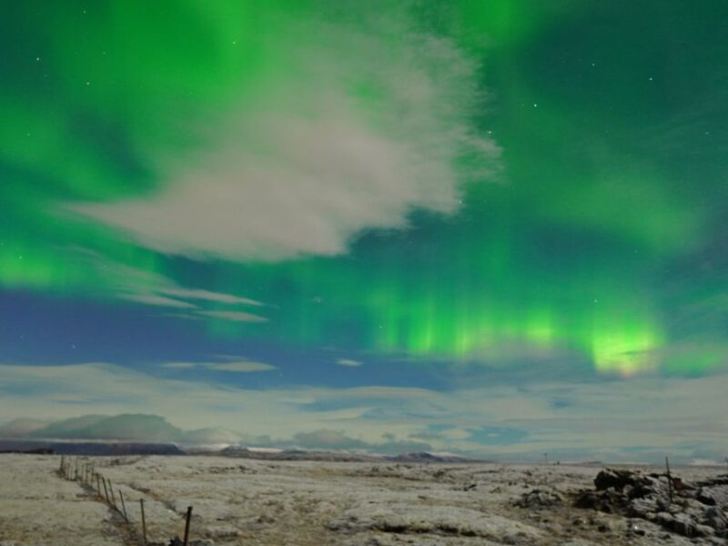 Reykjavik: Aurora Minibus w/ Pro Photos & Free Retry - Activities to Keep Guests Entertained During Waits