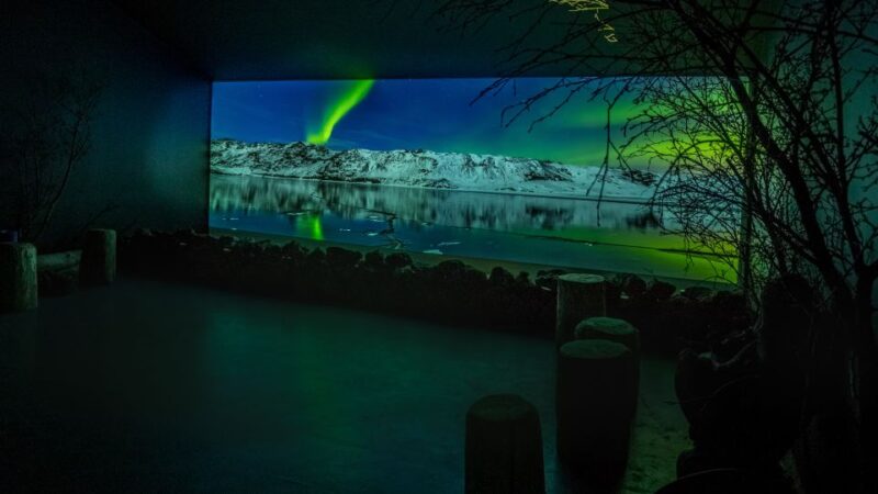 Reykjavik: Aurora Reykjavik The Northern Lights Center Entry - Explore the Only Museum Fully Dedicated to the Northern Lights in Reykjavik