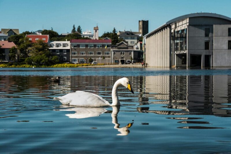 Reykjavík & Blue Lagoon Private Tour - Suitable For Who?