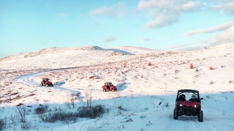 Reykjavik: Buggy Safari Tour with Hotel Transfers - Key Points