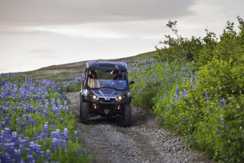 Reykjavik: Buggy Safari Tour with Hotel Transfers - Why Choose This Buggy Safari Near Reykjavik