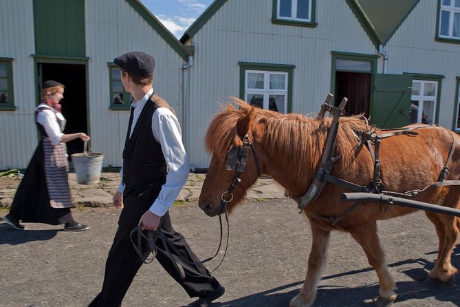 Reykjavik City Card 24-hour - Practical Aspects: Transportation, Booking, and Accessibility