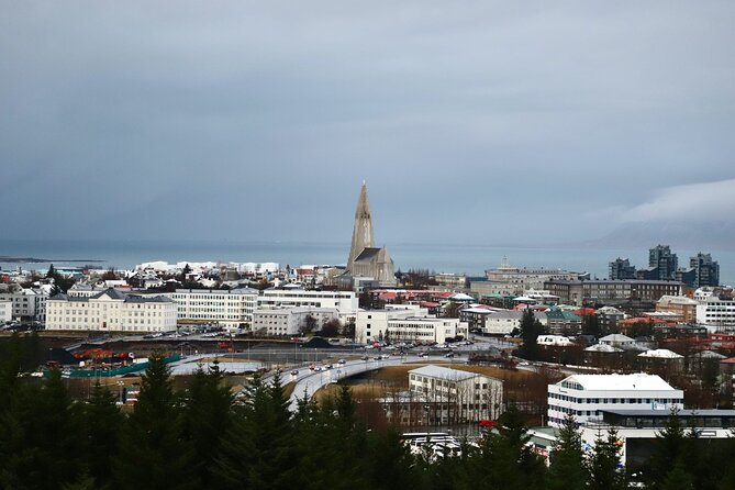 Reykjavik City Private Tour - Harpa Concert Hall and Its Cultural Vibrancy