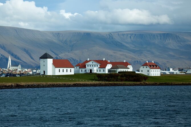 Reykjavik City Private Tour - Perlan: The Rotating Glass Dome and Water Storage