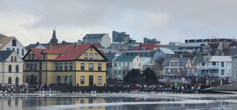 Reykjavik City private tour: Hallgrímskirkja, Perlan & More! - Admiring the Panoramic Views from Perlan