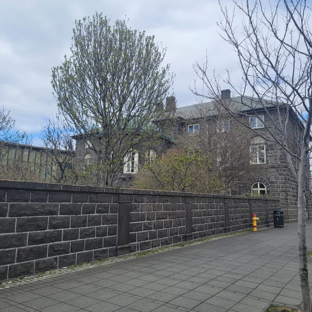 Reykjavik City private tour: Hallgrímskirkja, Perlan & More! - Walking Along Rainbow Street and Reykjavik’s City Streets