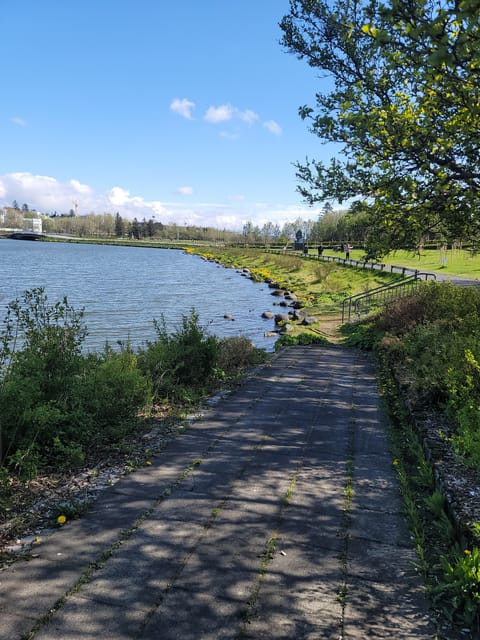 Reykjavik City private tour: Hallgrímskirkja, Perlan & More! - Seamless Logistics and Comfortable Transportation