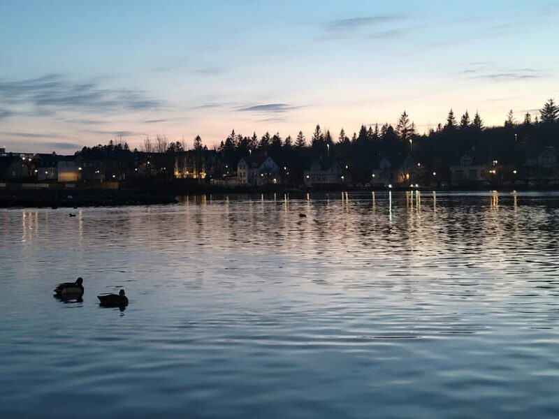 Reykjavik City private tour: Hallgrímskirkja, Perlan & More! - Practical Tips for the Tour Day