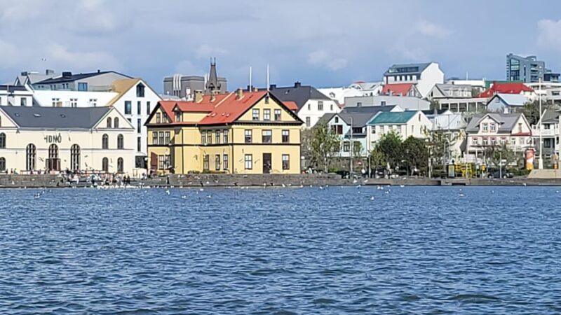 Reykjavik City private tour: Hallgrímskirkja, Perlan & More! - Final Thoughts on the Reykjavik Private City Tour