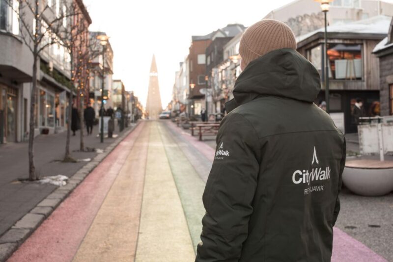 Reykjavik: City Walking tour in Small Group with Local Guide - Key Points