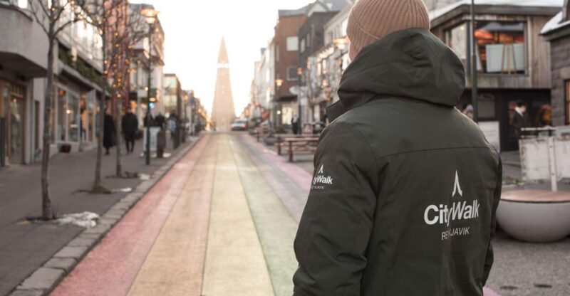 Reykjavik: City Walking tour in Small Group with Local Guide - The Tour Starts at Reykjavík’s Iconic Hallgrímskirkja