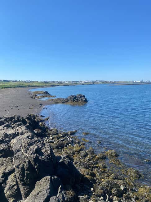 Reykjavik: EBike Tour of Nature, Coast, and City - Elliðaárdalur: City’s Wild Oasis
